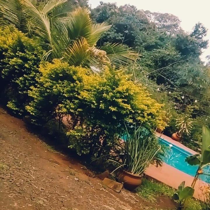 Hotel Y Residencial Amigos Puerto Iguazu Exterior photo